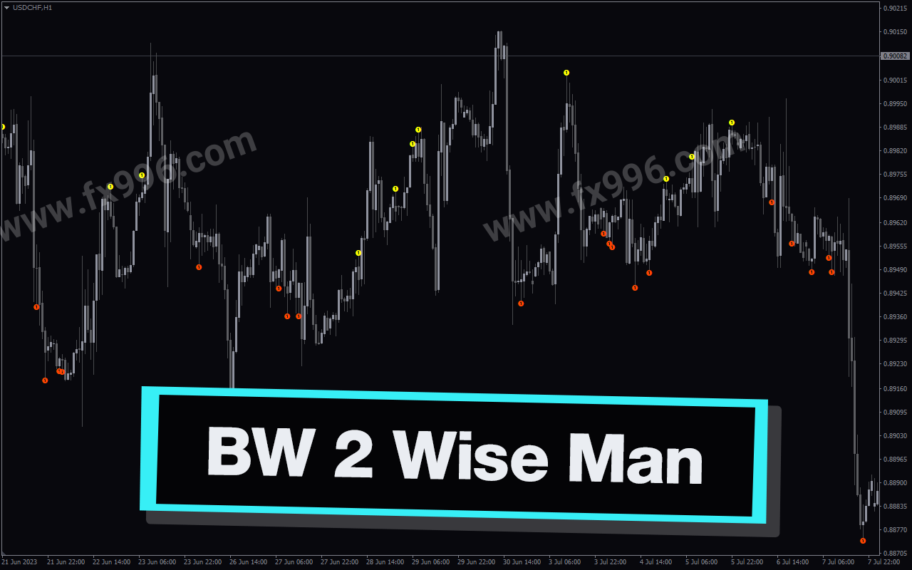 BW 2 Wise Man